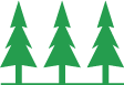 sapin